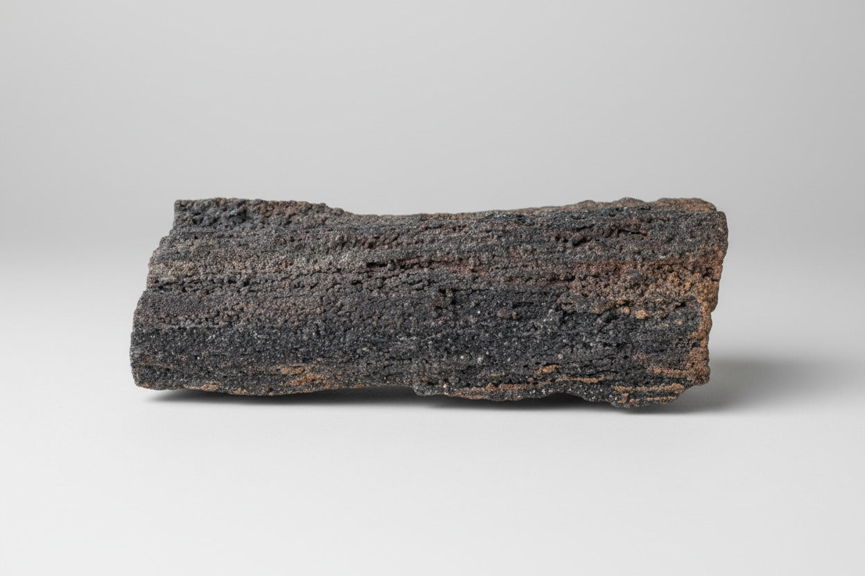 Ruw versteend hout 1013 gram, 18 cm lang, onbewerkt authentiek fossiel met natuurlijke houtstructuur