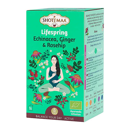 Shoti Maa thee Lifespring met echinacea en gember
