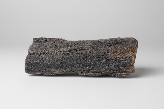 Ruw versteend hout 1013 gram, 18 cm lang, onbewerkt authentiek fossiel met natuurlijke houtstructuur
