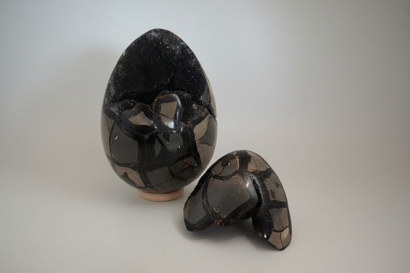 Groot septarie ei 19cm met ammoniet erin