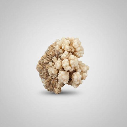 Calciet koraal fossiel van 64g met natuurlijke vorm
