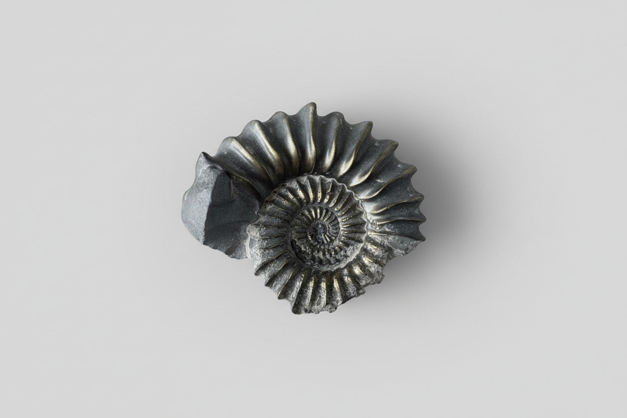 Ammoniet fossiel 129 gram met natuurlijke spiraalvorm, 7,5 cm groot, authentiek prehistorisch specimen 