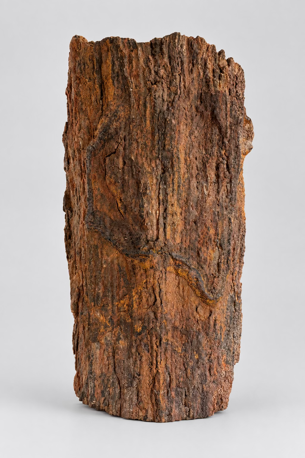 Versteend hout met een karaktervolle houtstructuur