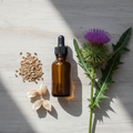 Glyceriet Mariadistel - Alcoholvrije kruidenextract met mariadistelzaden voor bescherming