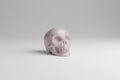 Roze Opaal Skull – Natuurlijke Edelsteen voor Emotionele Genezing & Liefde