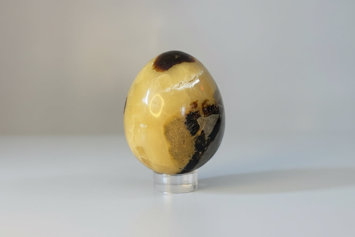 Septarie Ei – Drakenei