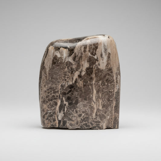 Versteend hout sculptuur met natuurlijke nerf
