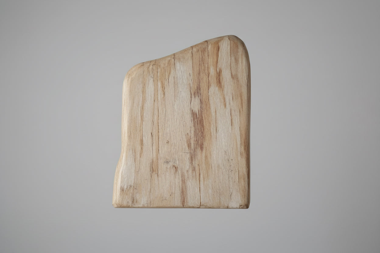 Versteend hout sculptuur met natuurlijke nerf