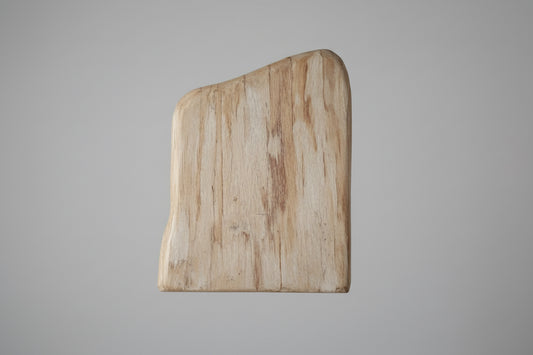 Versteend hout sculptuur met natuurlijke nerf