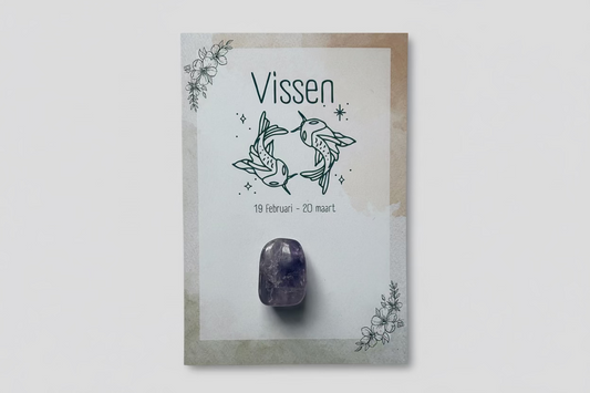 Pisces Zodiac Card with Stone