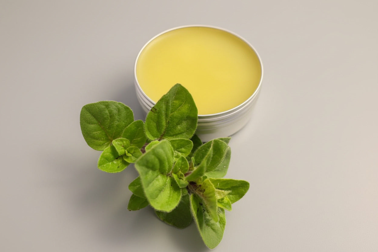 Handgemaakte oregano zalf in potje met natuurlijke ingrediënten