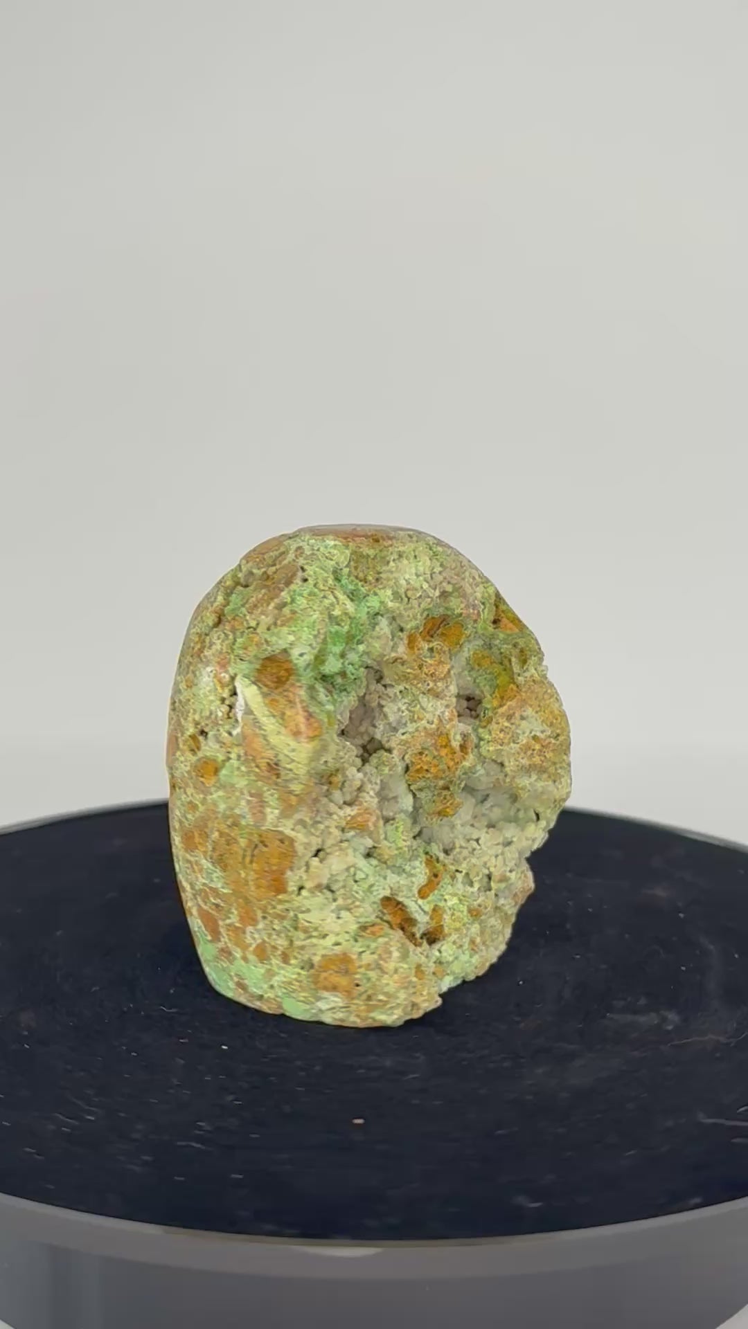 Smithsoniet 360 graden zicht
