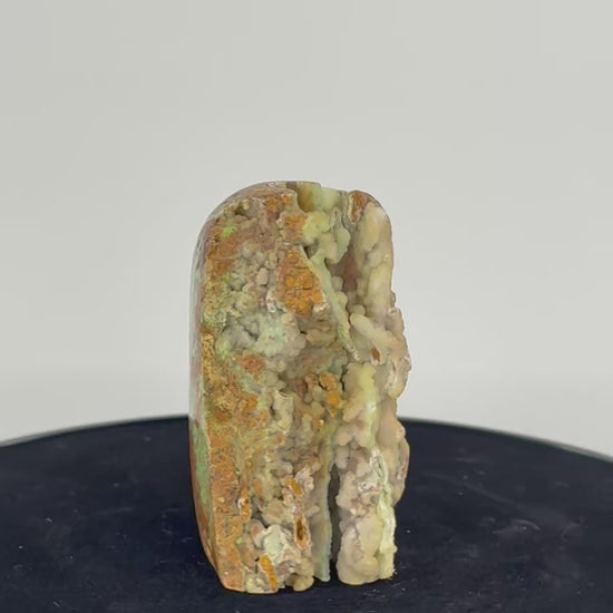 Smithsoniet 360 graden zicht