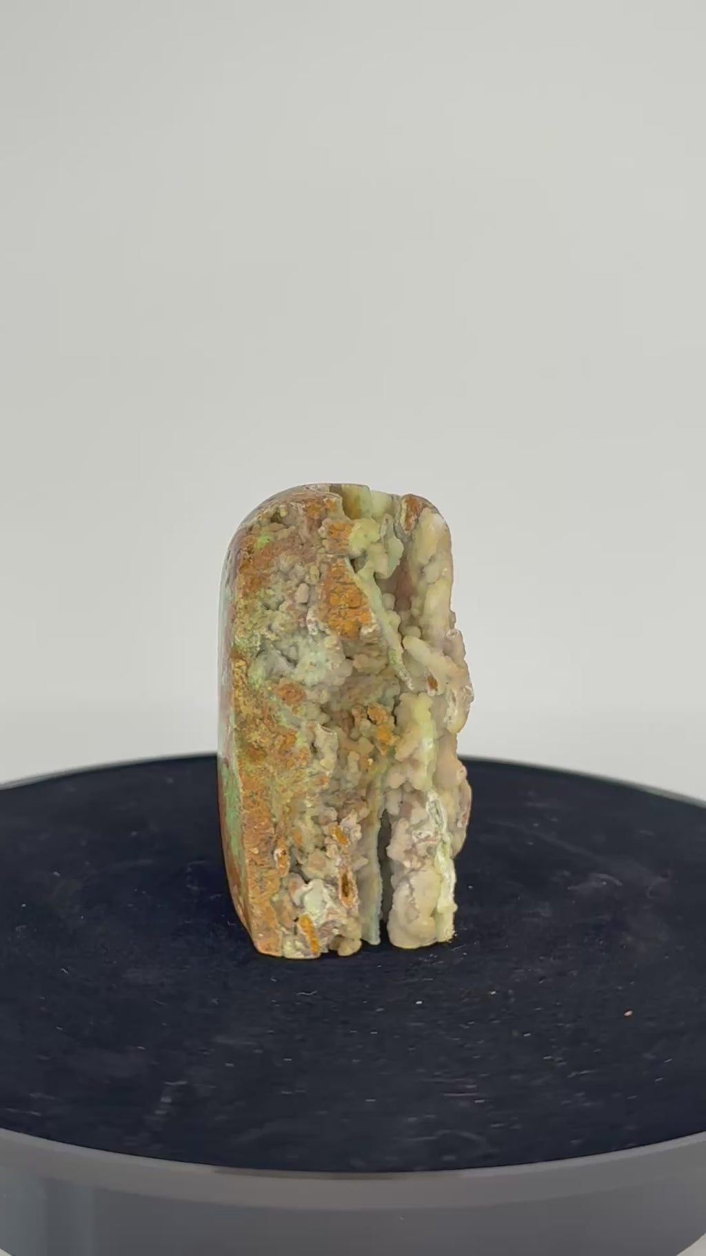 Smithsoniet 360 graden zicht