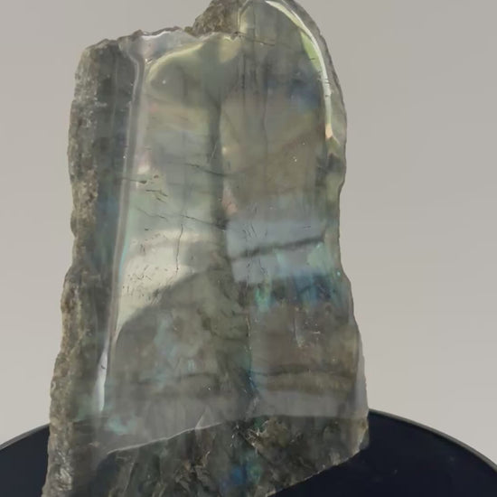 Labradoriet sculptuur 360 graden zicht