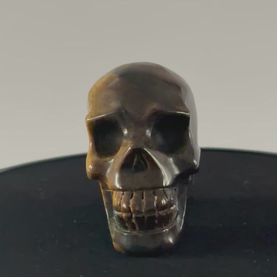 Tijgeroog skull 360 graden zicht