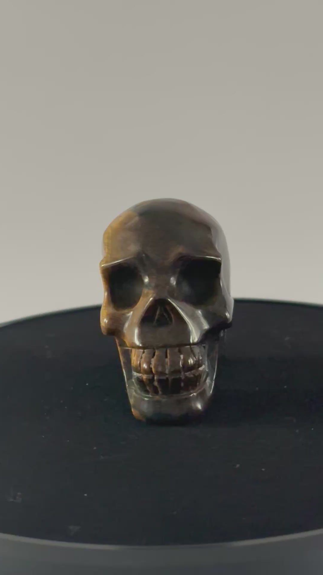 Tijgeroog skull 360 graden zicht