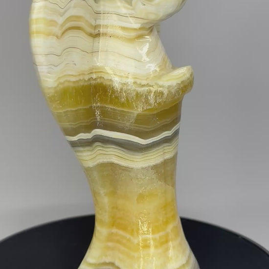 zebra calciet engel 360 graden zicht