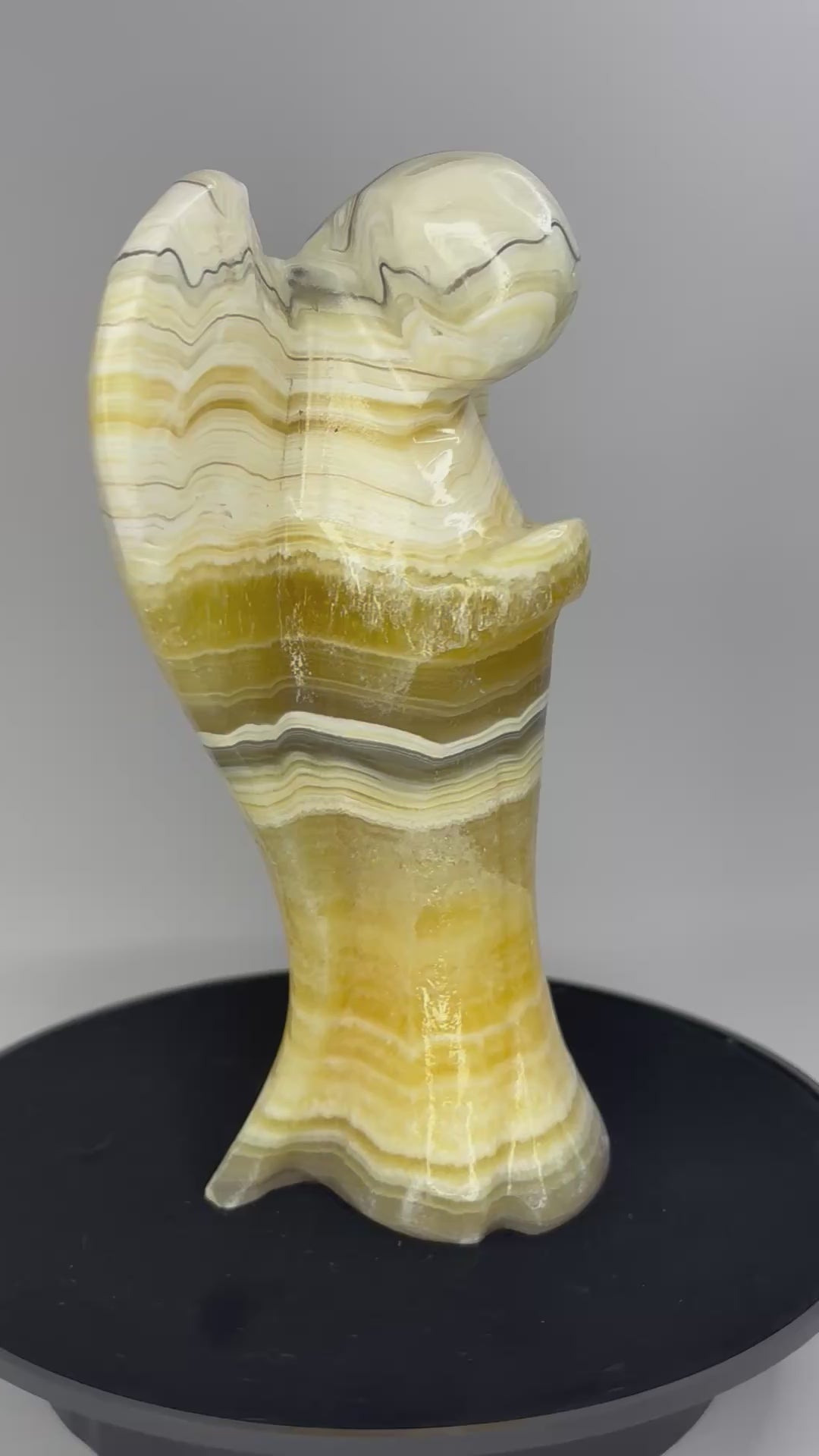 zebra calciet engel 360 graden zicht