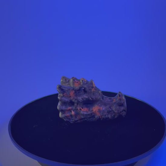 Yooperlite draak 360 graden zicht met V licht