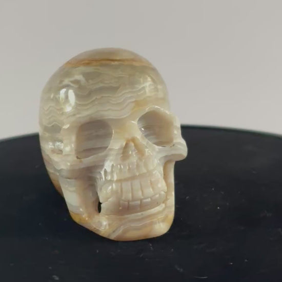 agaat skull 360 graden zicht