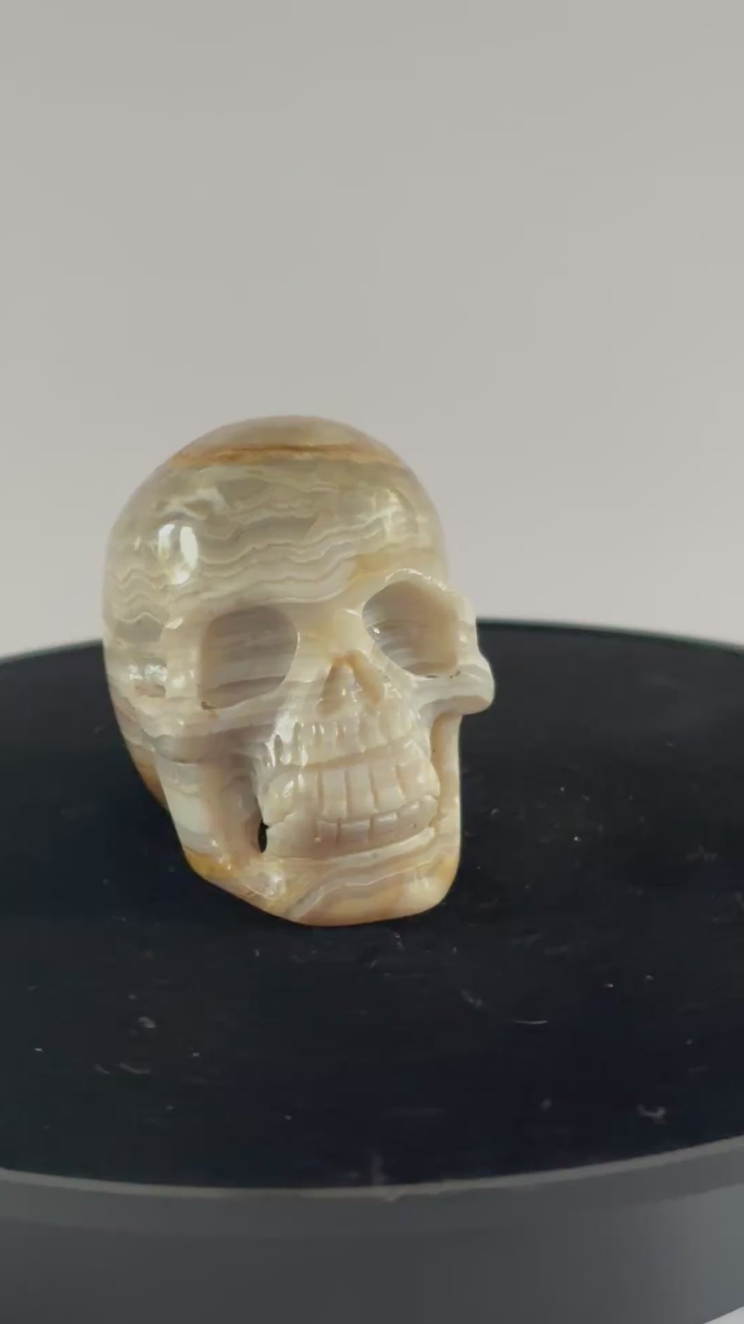 agaat skull 360 graden zicht
