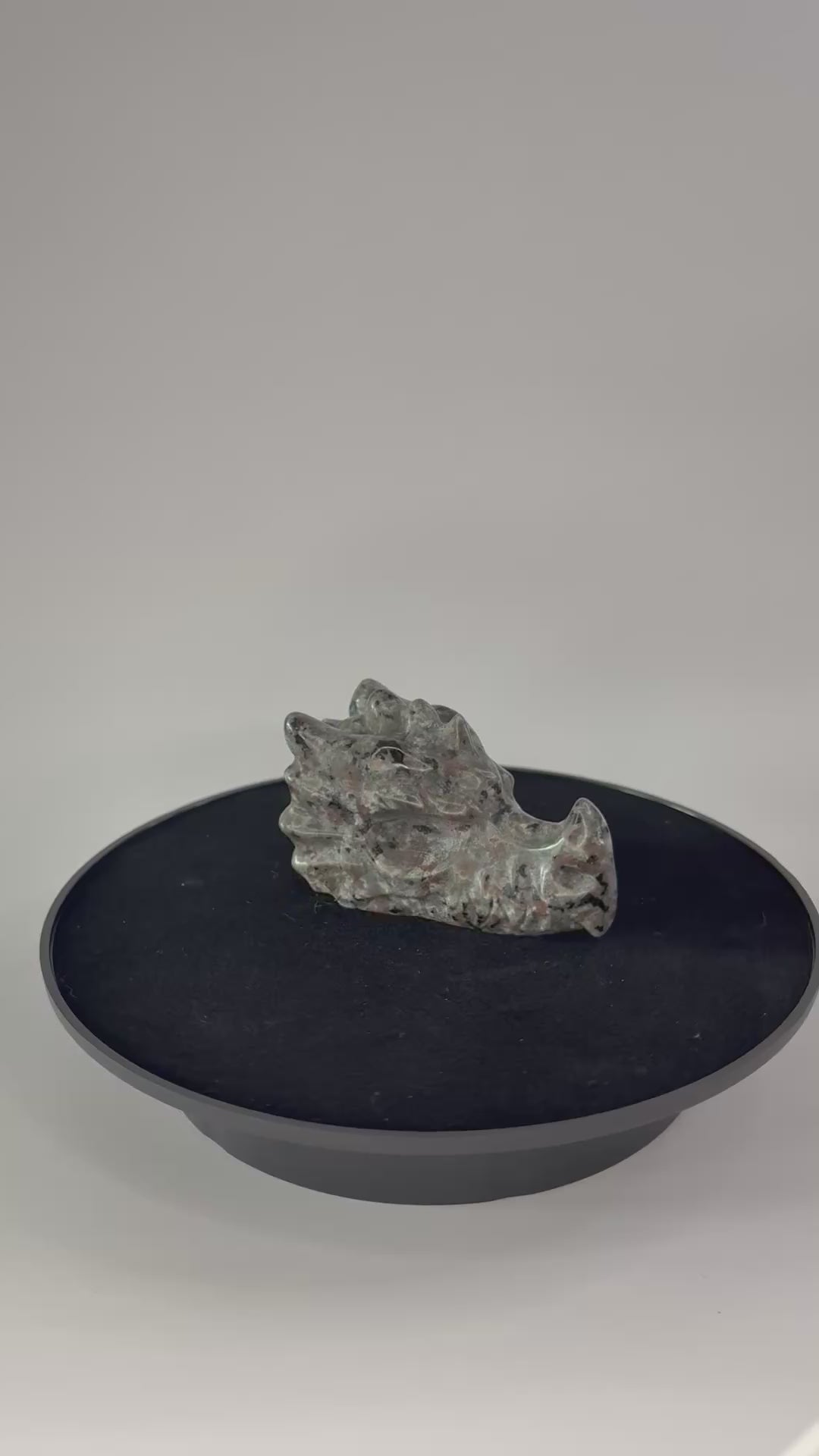 Yooperlite draak 360 graden zicht