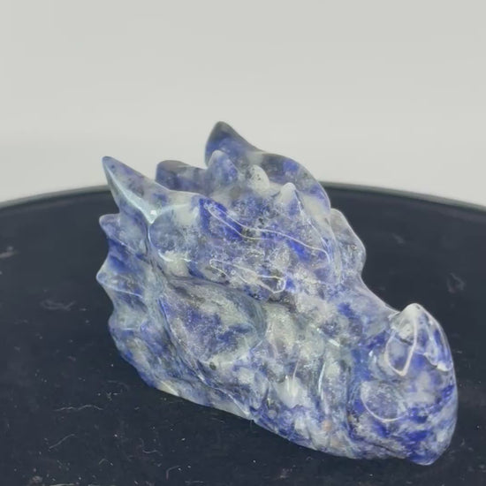 sodaliet drakenkop 360 graden zicht