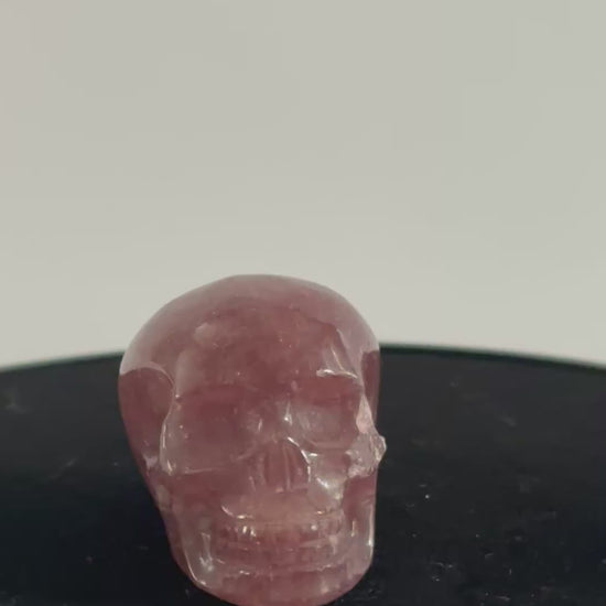 Aardbeienkwarts skull 360 graden zicht