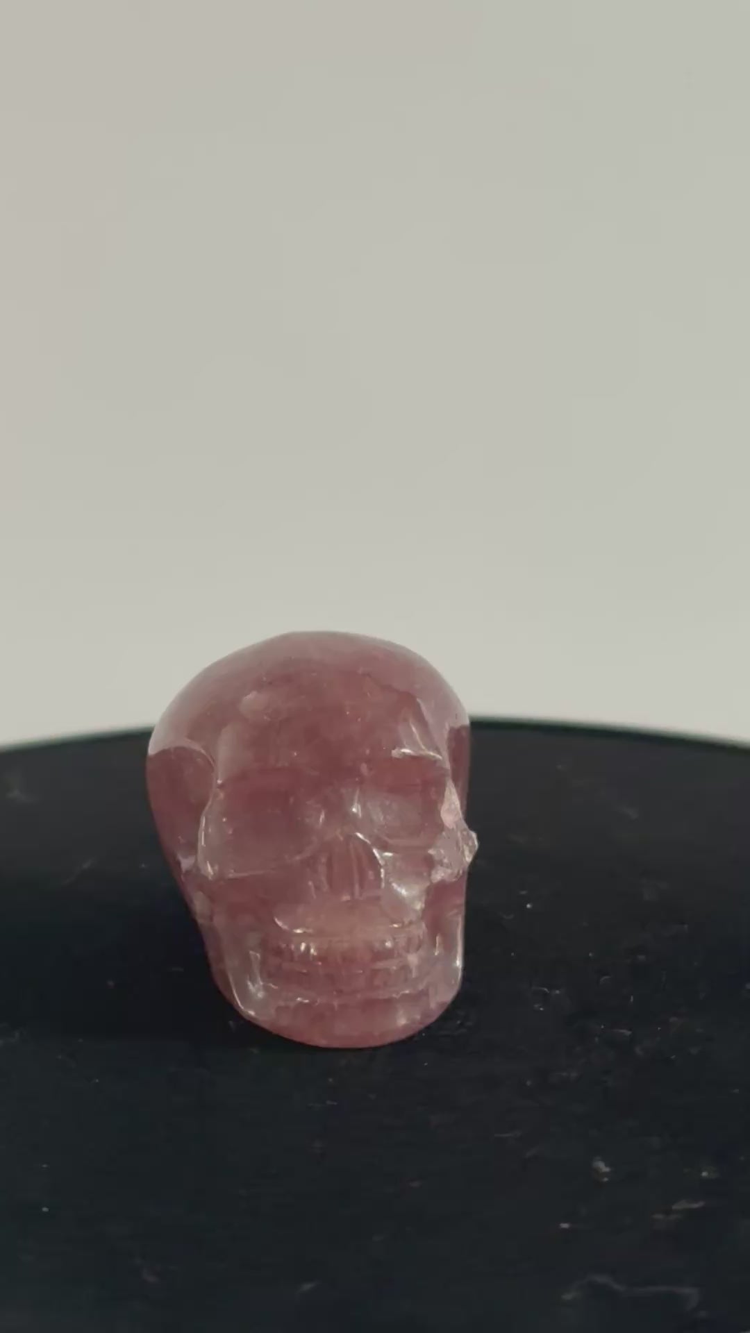 Aardbeienkwarts skull 360 graden zicht