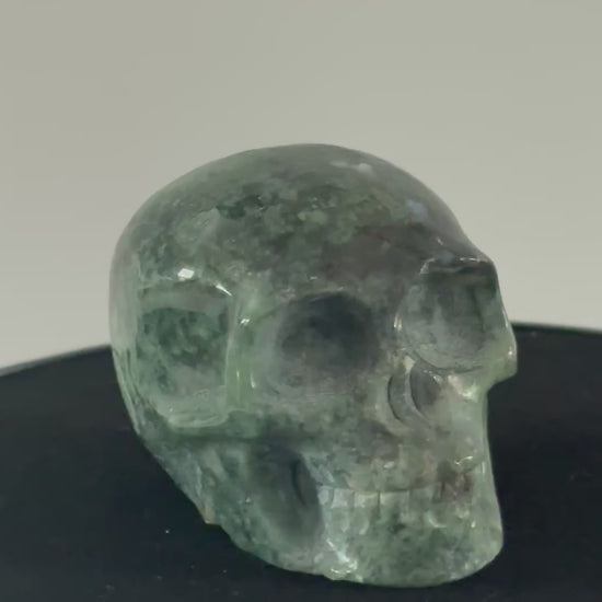 Mosagaat skull 360 graden zicht