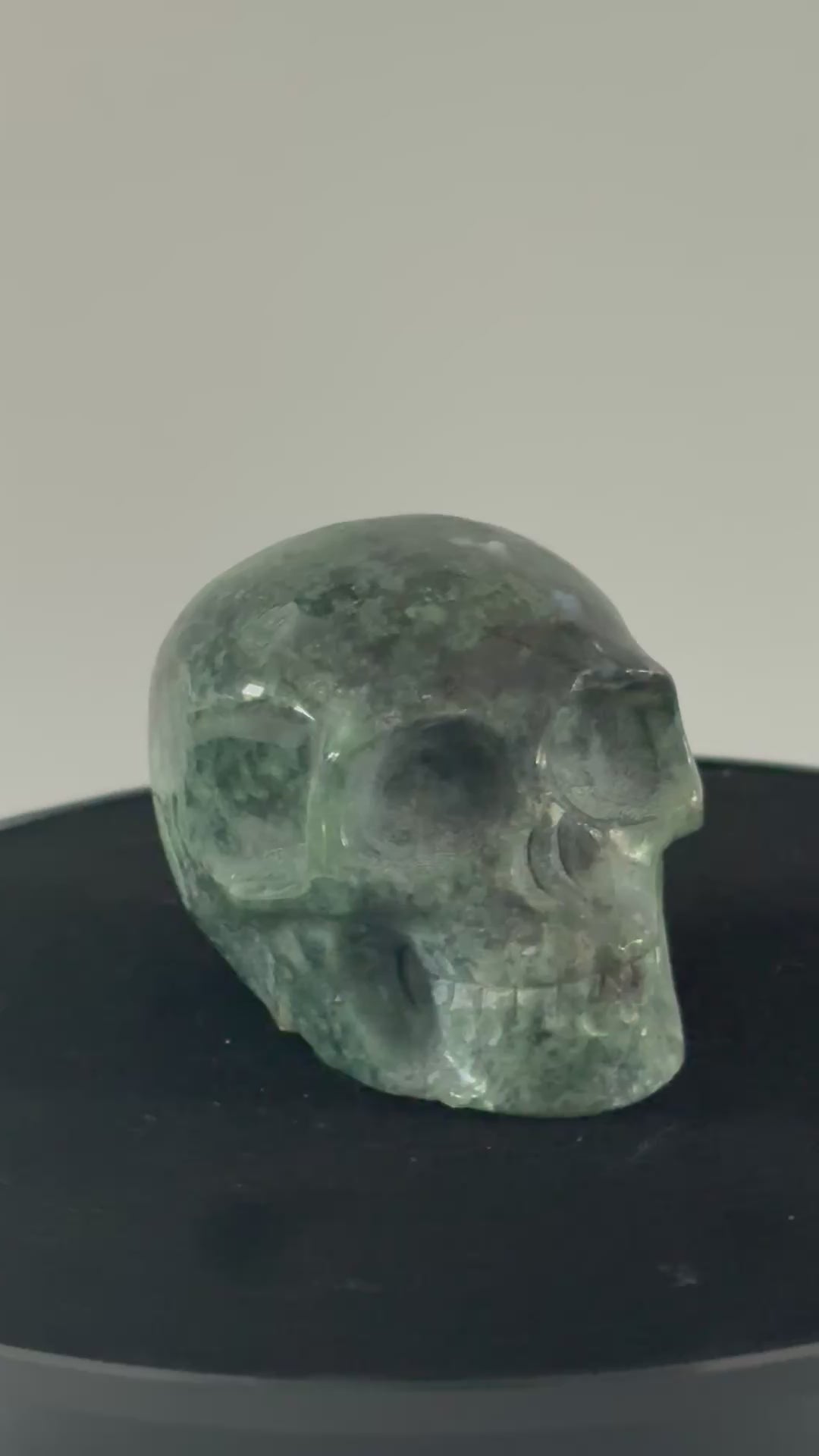 Mosagaat skull 360 graden zicht