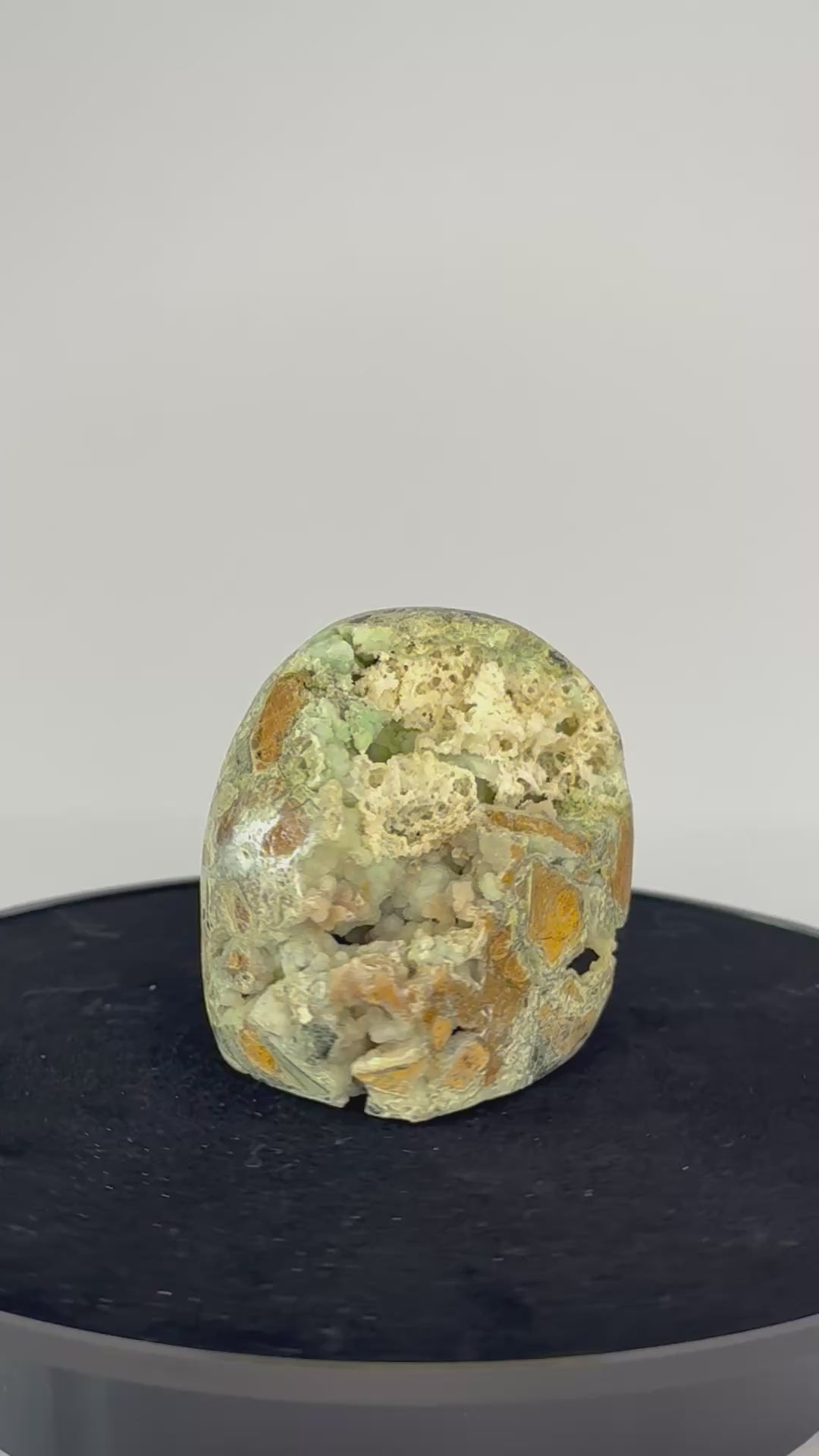 Smithsoniet 360 graden zicht