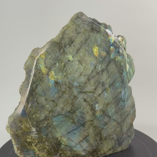 Labradoriet sculptuur 360 graden zicht 