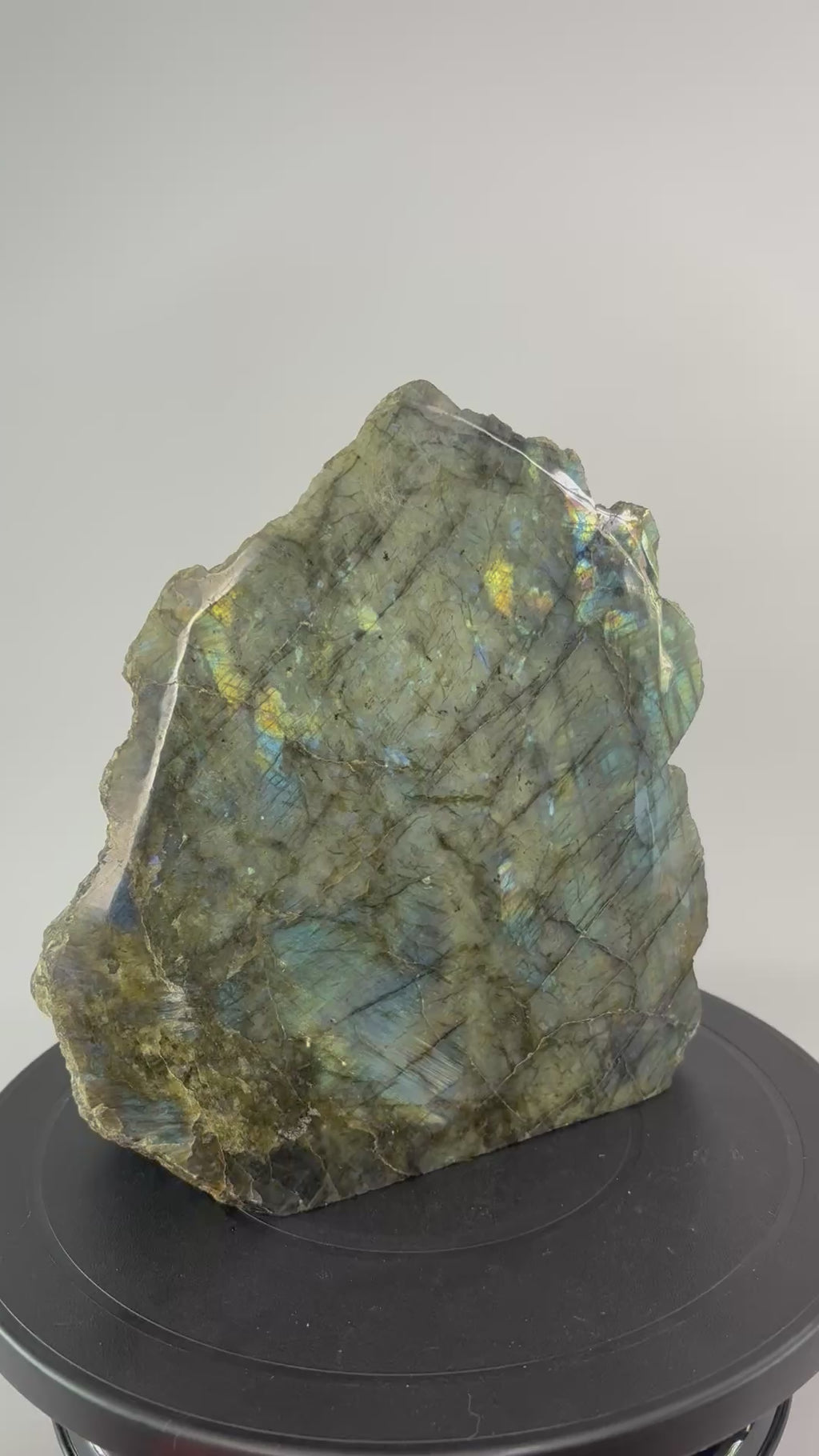 Labradoriet sculptuur 360 graden zicht 
