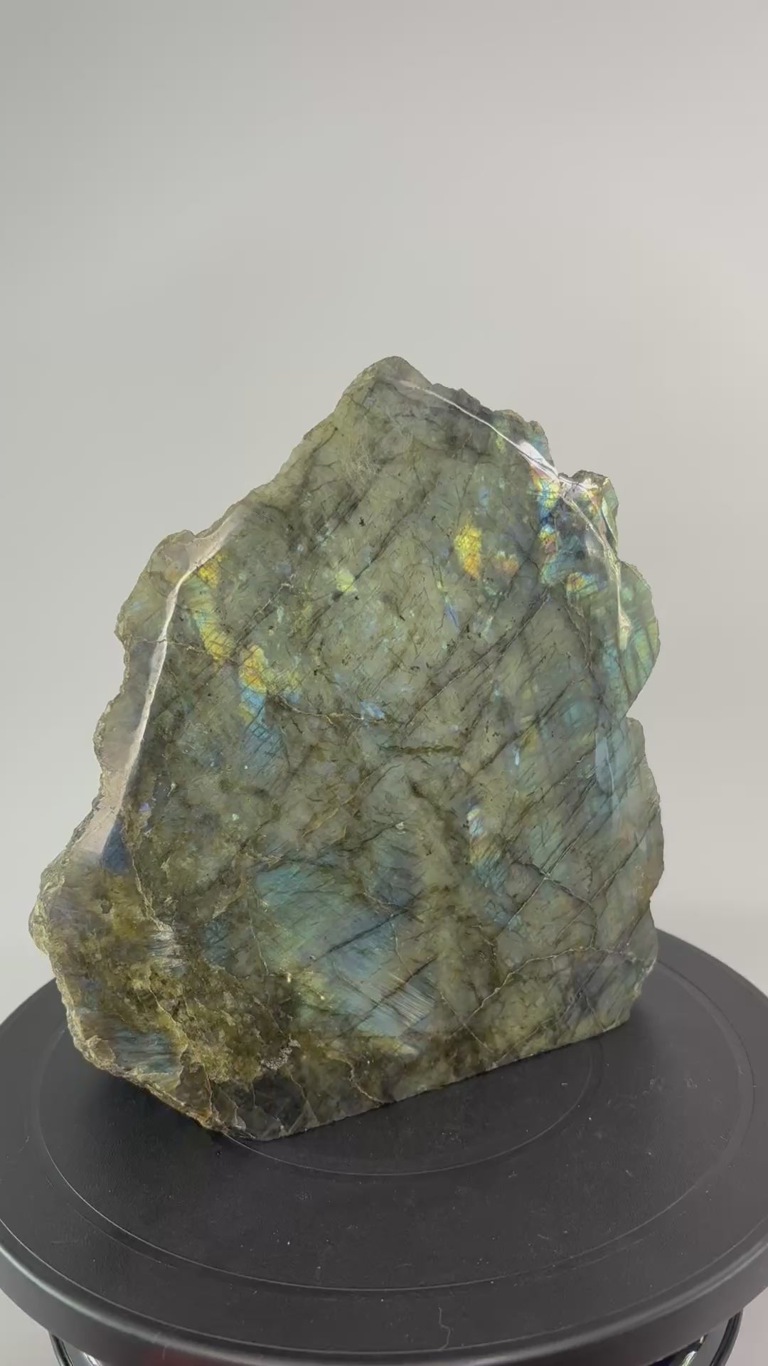 Labradoriet sculptuur 360 graden zicht 