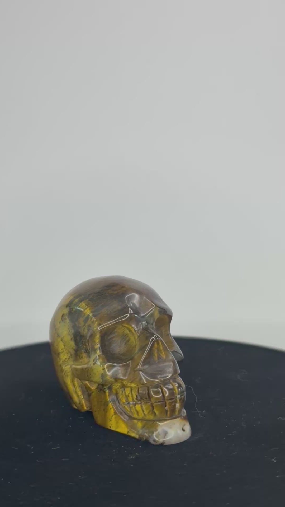 Tijgeroog skull 360 graden zicht