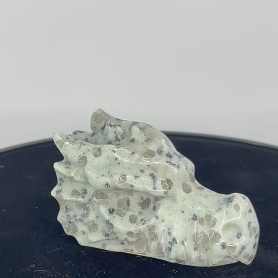 kiwi jaspis drakenkop 360 graden zicht
