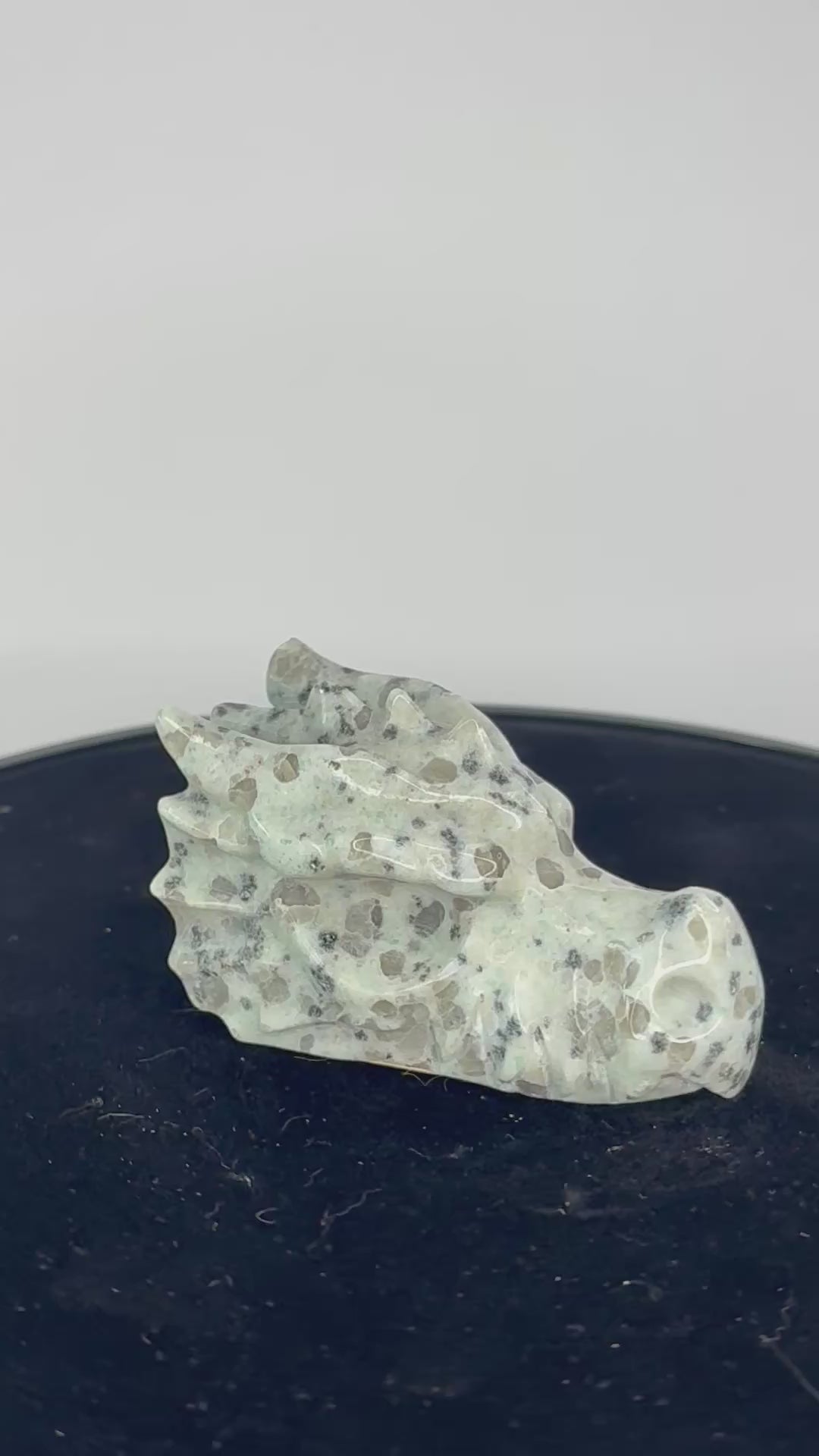 kiwi jaspis drakenkop 360 graden zicht