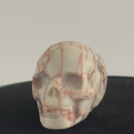 Spinnenweb jaspis skull 360 graden zicht