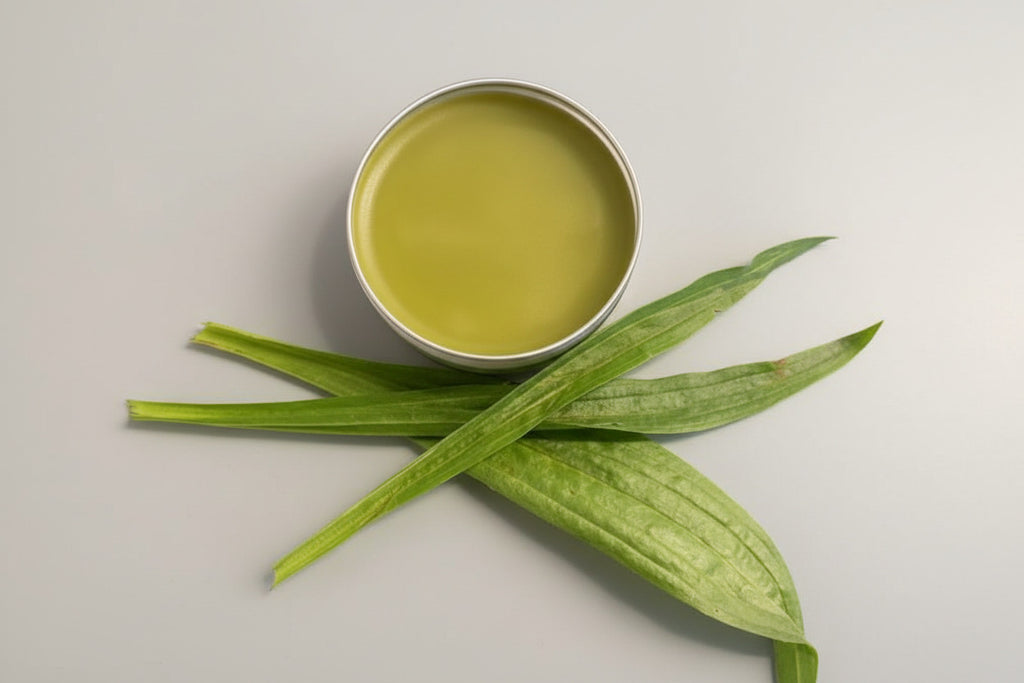 DIY weegbree zalf pakket